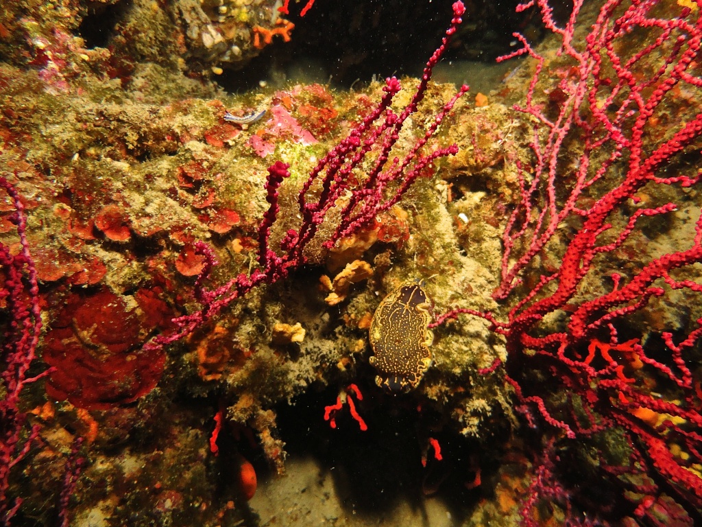DSC04827